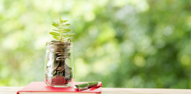 Money in jar with plant growing from it