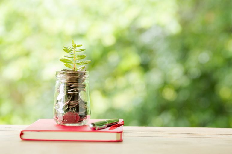 Money in jar with plant growing from it