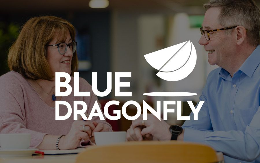 Blue Dragonfly Group logo image